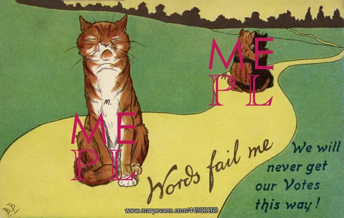 : Suffragette Cats Embracing Words Fail Me : Suffragette Cats Embracing Words Fail Me