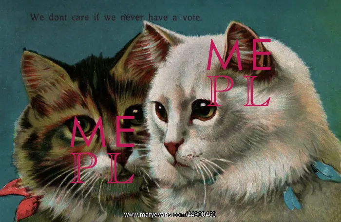  : Suffragette cats Never Have A Vote