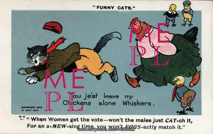 : Suffragette Chicken Chases Cat : Suffragette Chicken Chases Cat