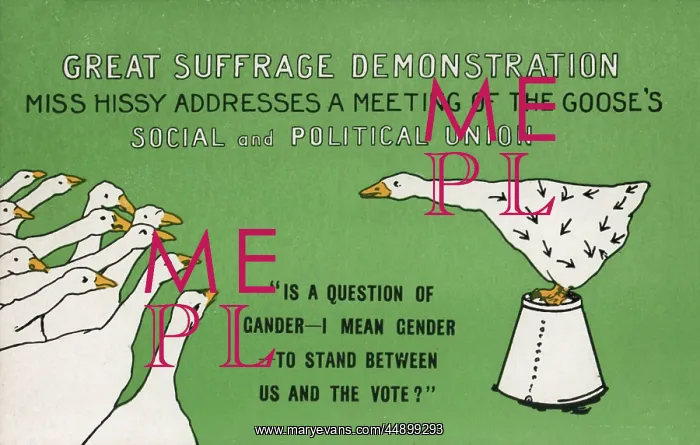 : Suffragette Geese Miss Hissy : Suffragette Geese Miss Hissy