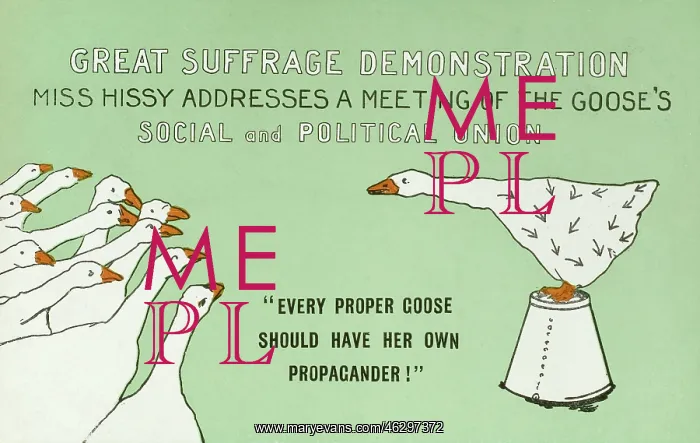 : Suffragette as a goose : Suffragette as a goose