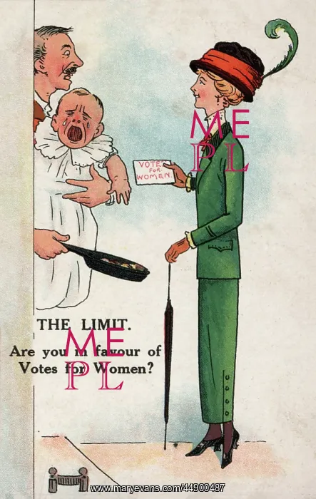 : Suffragette The Limit Votes for Women : Suffragette The Limit Votes for Women