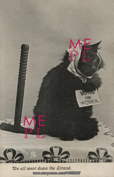 : Suffragette Militant Cat : Suffragette Militant Cat