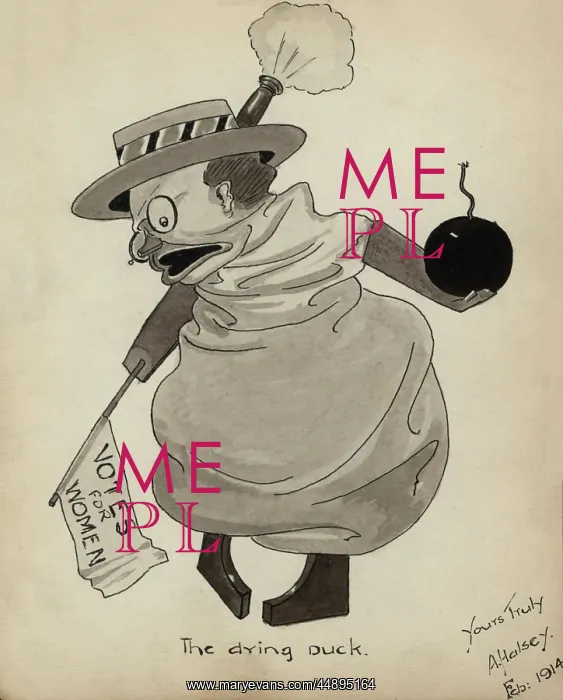 : Suffragette Militant Dying Duck : Suffragette Militant Dying Duck