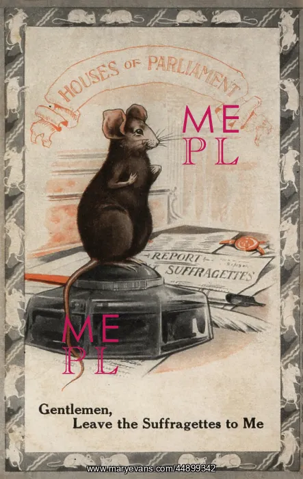 : Suffragette Mouse in Houses of Parliament : Suffragette Mouse in Houses of Parliament