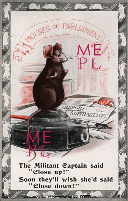 : Suffragette Mouse in Houses of Parliament : Suffragette Mouse in Houses of Parliament