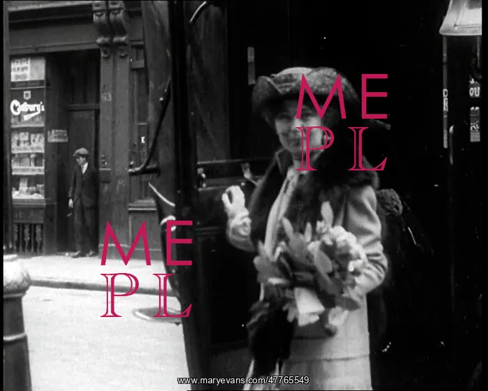 : Suffragette Movement : Suffragette Movement