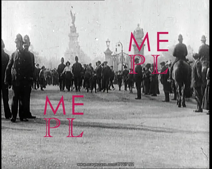 : Suffragette Movement : Suffragette Movement