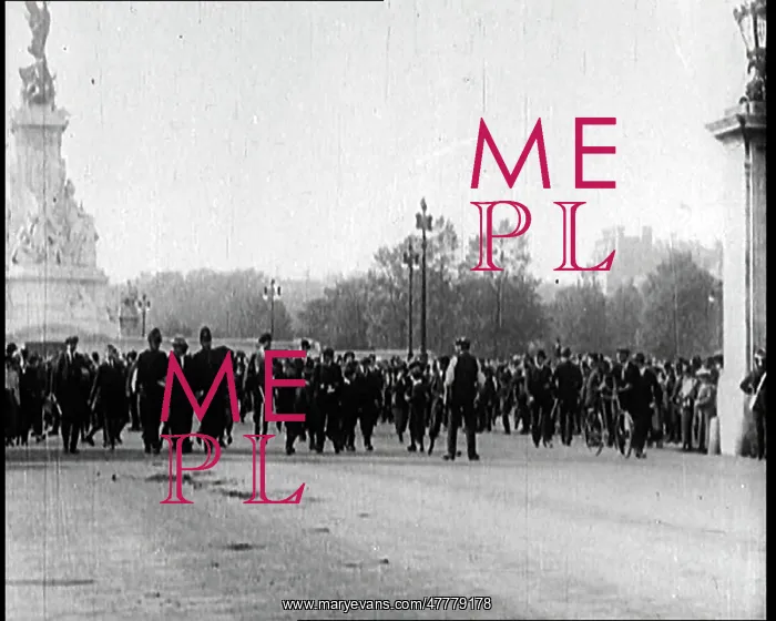 : Suffragette Movement : Suffragette Movement