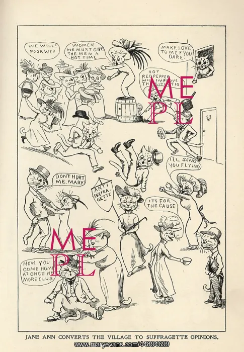 : Suffragette Opinions Campaign Cats : Suffragette Opinions Campaign Cats