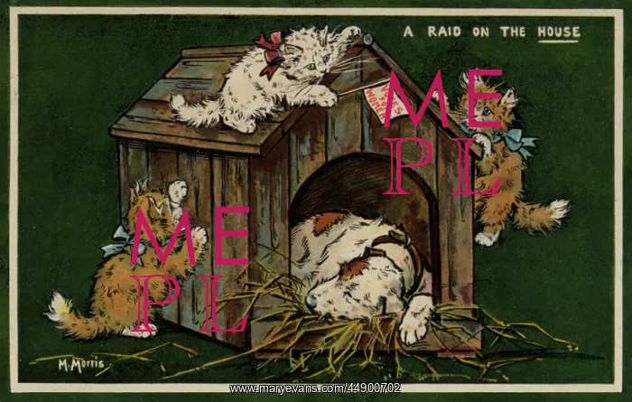 : Suffragette Raid on the House : Suffragette Raid on the House