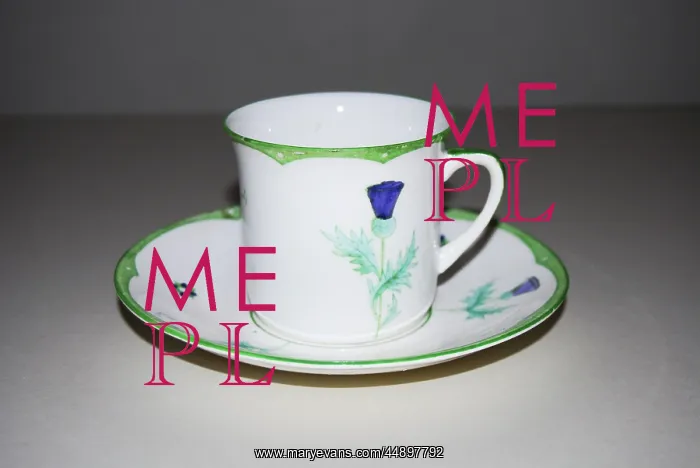 : Suffragette Scottish W.S.P.U Cup & Saucer : Suffragette Scottish W.S.P.U Cup & Saucer