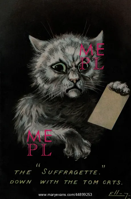 : Suffragette Down with Tom Cats : Suffragette Down with Tom Cats