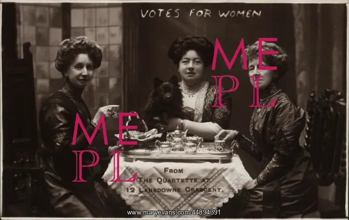 : Suffragette Votes for Women : Suffragette Votes for Women