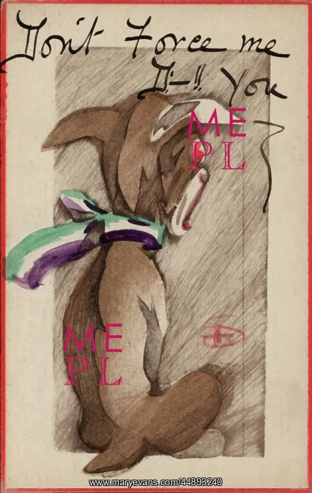 : Suffragette Votes for Women Don't Force Me : Suffragette Votes for Women Don't Force Me