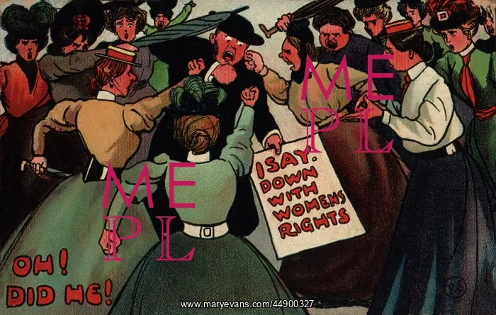 : Suffragette, Down with Women's Rights : Suffragette, Down with Women's Rights