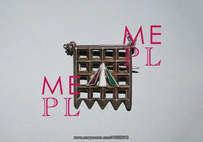  : Suffragette W.S.P.U Holloway Brooch