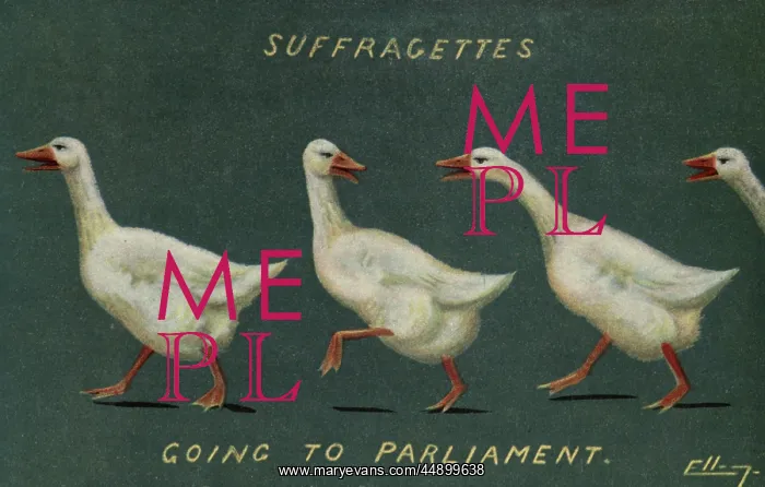 : Suffragettes Geese to Parliament : Suffragettes Geese to Parliament
