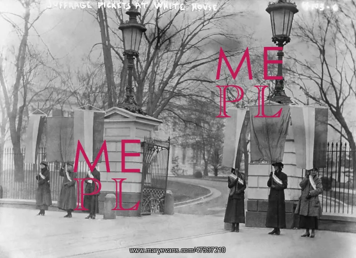 : Suffragettes at White House, 1917 : Suffragettes at White House, 1917