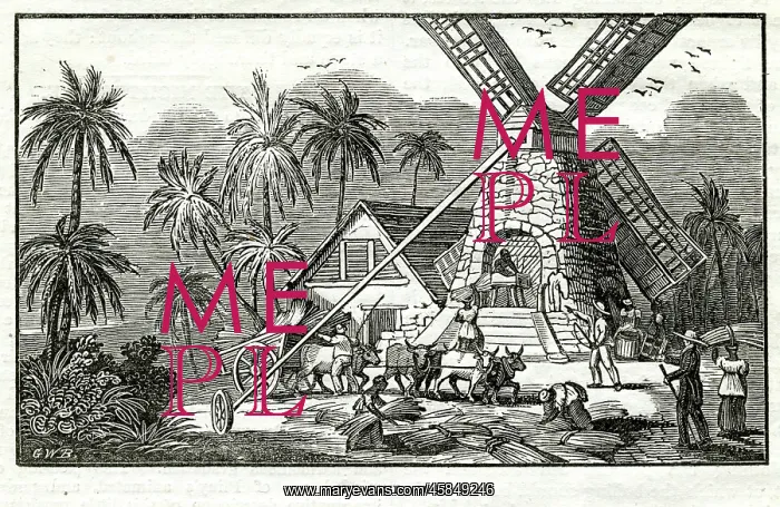  : Sugar cane mill