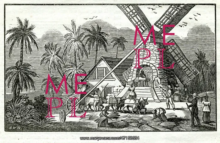  : Sugar cane mill