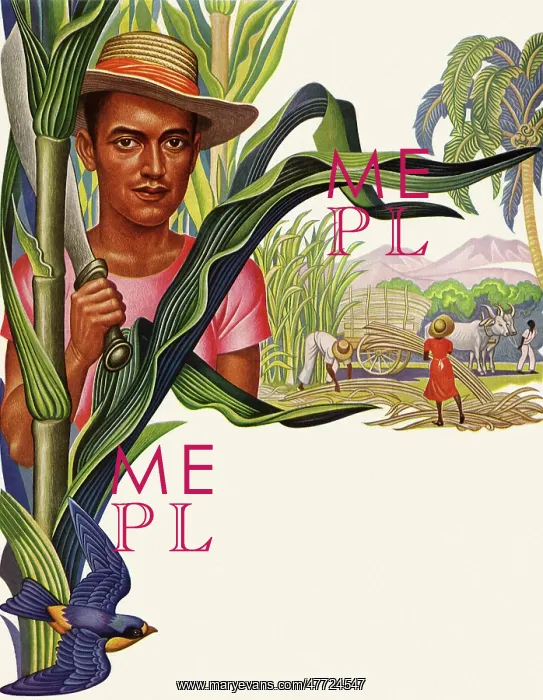  : Sugar Cane Harvesters