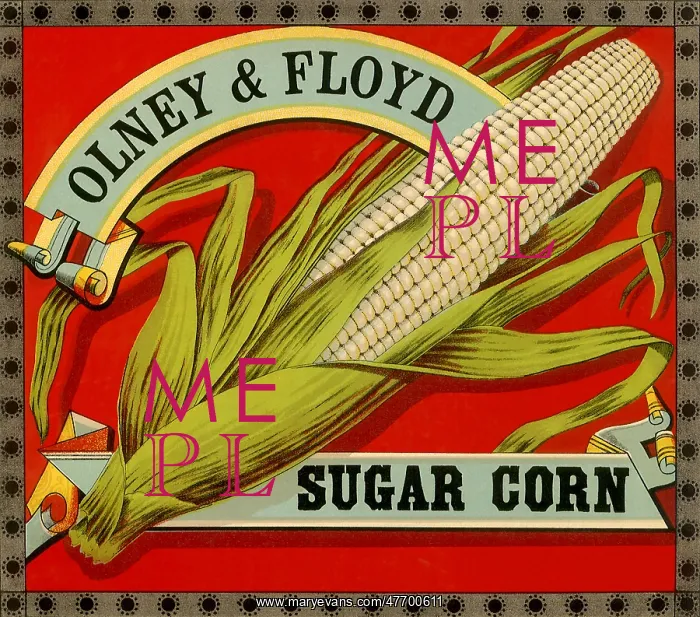  : Sugar Corn Label
