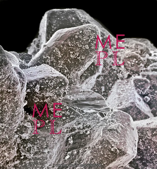 : Sugar grains : Sugar grains