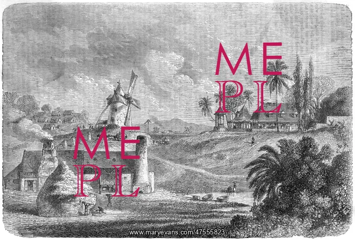 : Sugar mill, Guadeloupe, 1850s : Sugar mill, Guadeloupe, 1850s