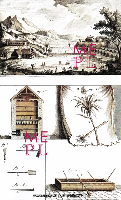 : Sugar Plantation - Diderot : Sugar Plantation - Diderot