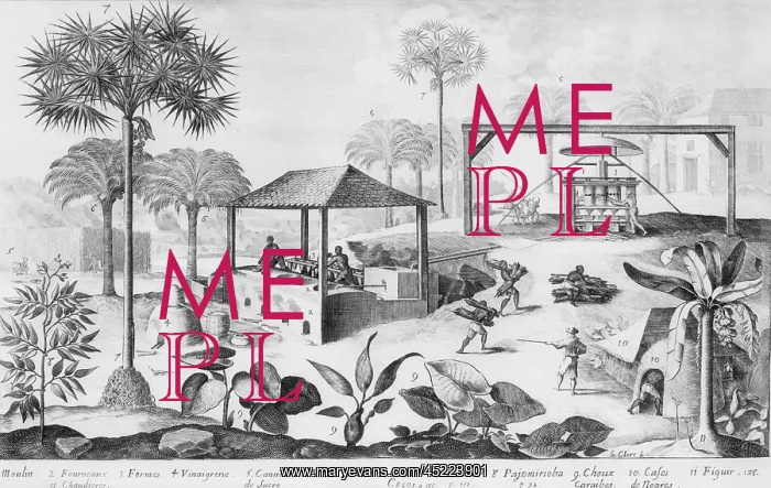  : Sugar production in the West Indies in the ?
