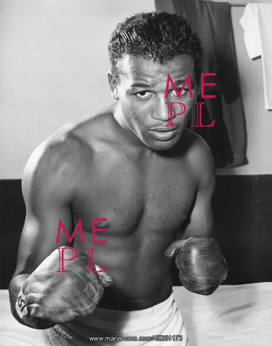 : Sugar Ray Robinson was the welterweight boxing : Sugar Ray Robinson was the welterweight boxing