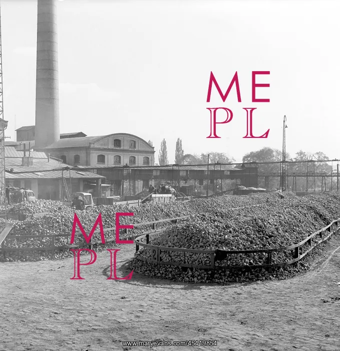 : Sugar refinery : Sugar refinery