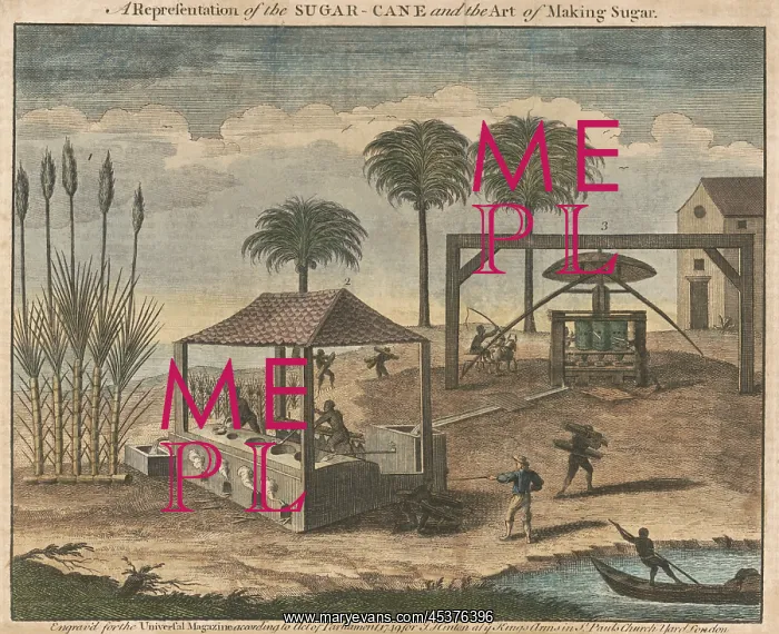 : Sugarcane processing in the West Indies, possibly : Sugarcane processing in the West Indies, possibly