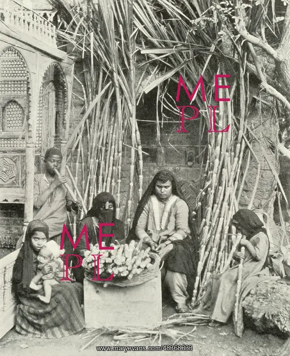  : Sugarcane Sellers, Cairo, Egypt
