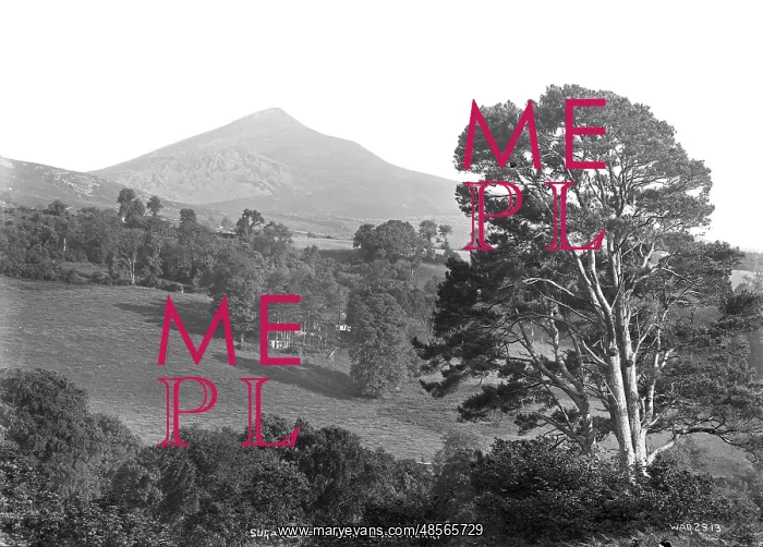 : Sugarloaf from Enniskerry : Sugarloaf from Enniskerry