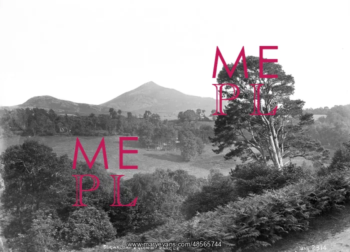 : Sugarloaf and Glen of Dargle : Sugarloaf and Glen of Dargle