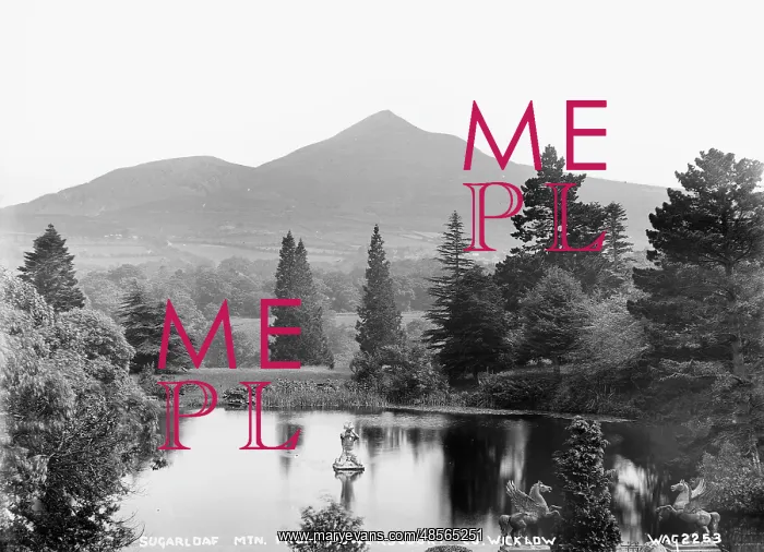 : Sugarloaf Mountain. from Powerscourt, Co. Wicklow : Sugarloaf Mountain. from Powerscourt, Co. Wicklow