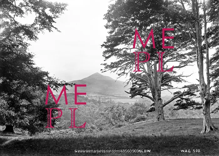 : Sugarloaf Mountain, Co Wicklow : Sugarloaf Mountain, Co Wicklow