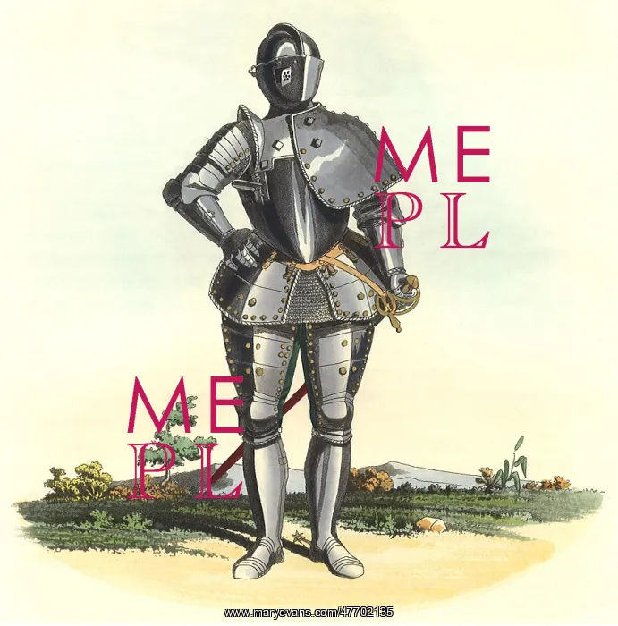 : Suit of Armor