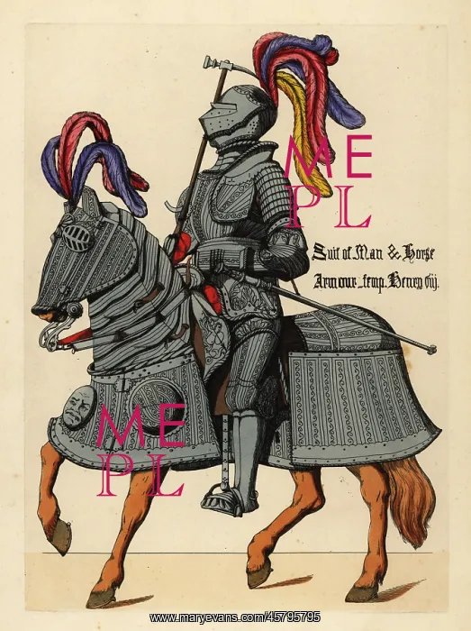 : Suit of engraved plate armour and horse barding : Suit of engraved plate armour and horse barding