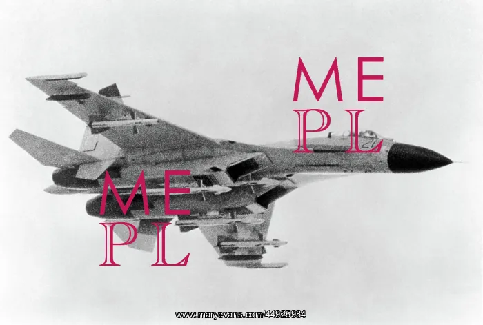 : Sukhoi Su-27 Flanker : Sukhoi Su-27 Flanker