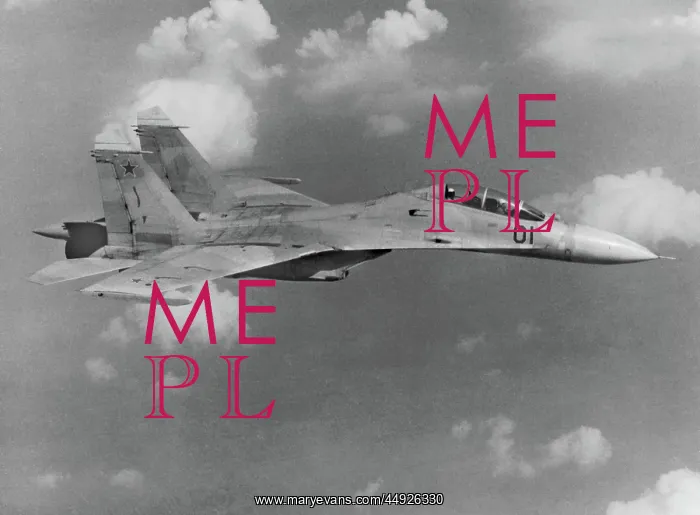 : Sukhoi Su-27UB Flanker : Sukhoi Su-27UB Flanker
