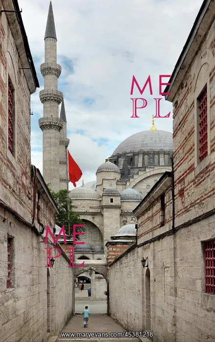 : Suleymaniye Mosque or Mosque of Sultan Suleyman : Suleymaniye Mosque or Mosque of Sultan Suleyman
