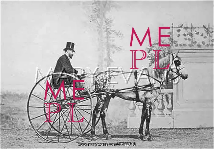 : SULKY PHOTO 1860