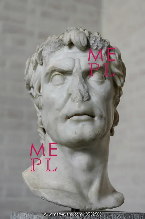 : Sulla. Head from the statue of a man. About 20 BC : Sulla. Head from the statue of a man. About 20 BC