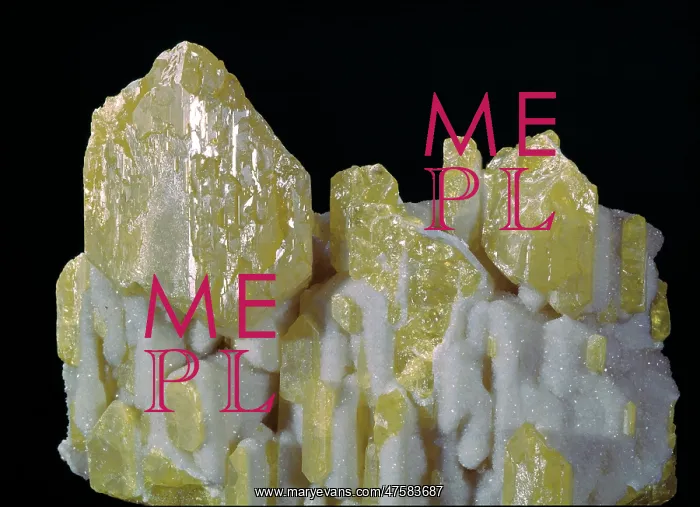 : Sulphur crystals partly coated with white granular crystalline calcite : Sulphur crystals partly coated with white granular crystalline calcite