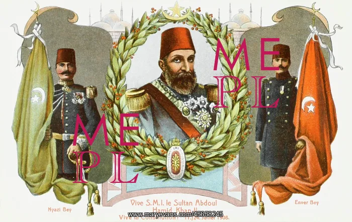 : Sultan Abdul Hamid II of Turkey - Constitution : Sultan Abdul Hamid II of Turkey - Constitution