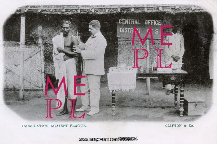 : Sultanpur, India - Inoculation against Plague : Sultanpur, India - Inoculation against Plague
