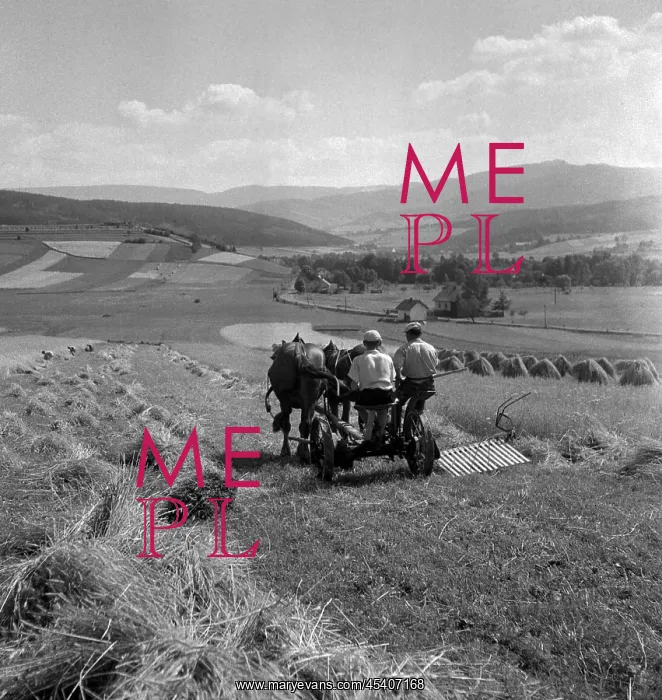 : Sumava - harvest : Sumava - harvest